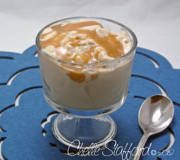 caramel fleur de sel protein powder ice cream recipe Chelle Stafford