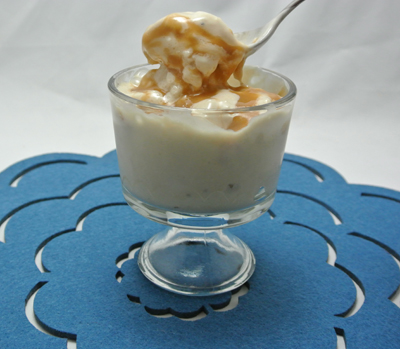 Protein Powder Ice Cream!