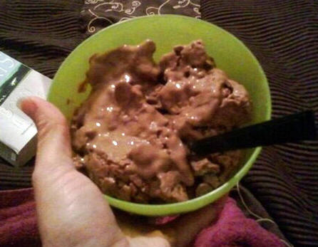 Chelle's protein ice cream recipe